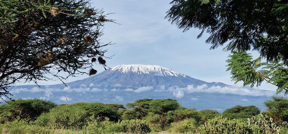 Best Time to Visit Amboseli for Stunning Kilimanjaro Views: Best Time to Visit Amboseli for Stunning Kilimanjaro Views: