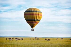 Lake Nakuru Safari Packages: The Complete Guide to the Best Lake Nakuru Safari Packages: The Complete Guide to the Best