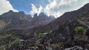 Rwenzori Trekking Cost 2026: Complete Price Guide Rwenzori Trekking Cost 2026: Complete Price Guide