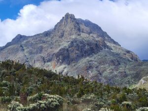 Margherita Peak Climbing Tours: The Ultimate 2026 Guide Margherita Peak Climbing Tours: The Ultimate 2026 Guide