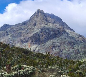 Luxury Rwenzori Trekking Safari: The Conclusive 2026 Guide