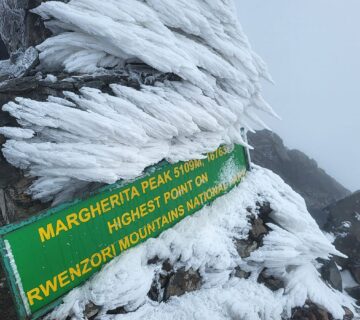 Margherita Peak Climbing Tours: The Ultimate 2026 Guide