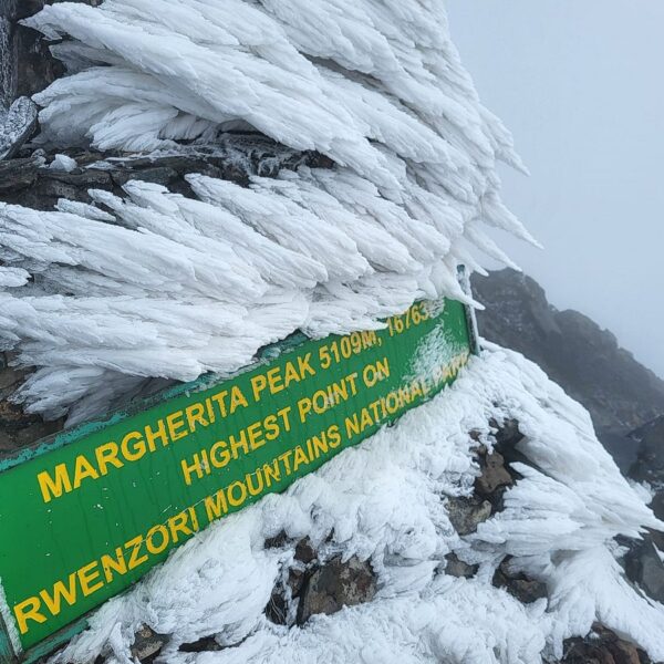 Margherita Peak Climbing Tours: The Ultimate 2026 Guide