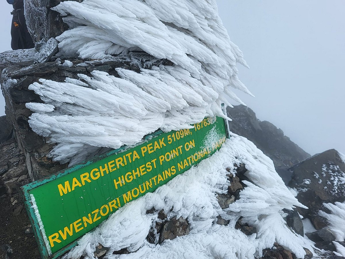 Margherita Peak Climbing Tours: The Ultimate 2026 Guide Margherita Peak Climbing Tours: The Ultimate 2026 Guide