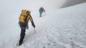 Best Rwenzori Trekking Packages 2026: The Conclusive Guide Best Rwenzori Trekking Packages 2026: The Conclusive Guide