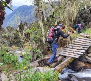Rwenzori Mountain Guided Tours: The Ultimate 2026 Guide
