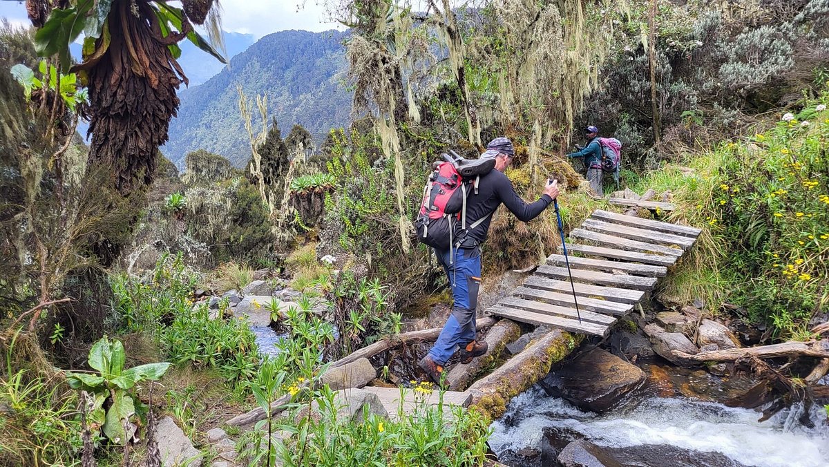 Rwenzori Mountain Guided Tours: The Ultimate 2026 Guide Rwenzori Mountain Guided Tours: The Ultimate 2026 Guide