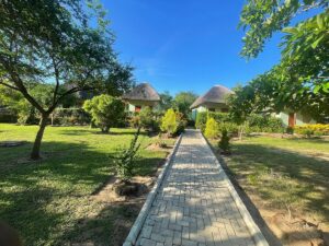 Fly-In Safari Murchison Falls: The Ultimate Luxury Uganda Fly-In Safari Murchison Falls: The Ultimate Luxury Uganda