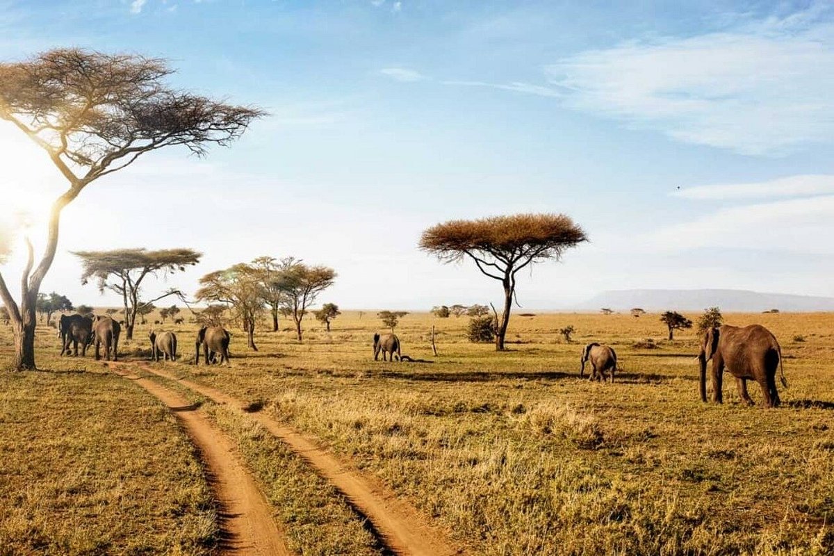 Serengeti Safari and Zanzibar Holiday: The Ultimate