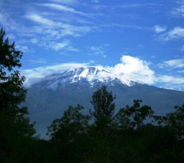 Kilimanjaro Guided Tours: The Best 2026 Guide to Reaching