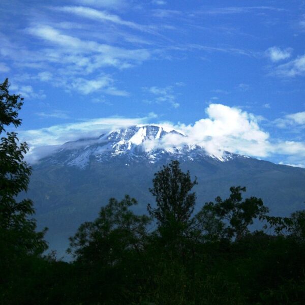 gorilla trekking Kilimanjaro Guided Tours: The Best 2026 Guide to Reaching
