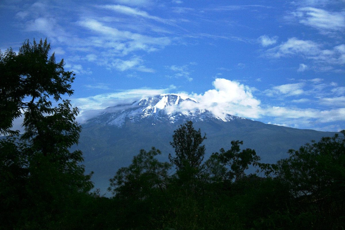 Kilimanjaro Guided Tours: The Best 2026 Guide to Reaching Kilimanjaro Guided Tours: The Best 2026 Guide to Reaching