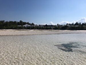 All Inclusive Safari and Zanzibar Holiday: The Ultimate All Inclusive Safari and Zanzibar Holiday: The Ultimate