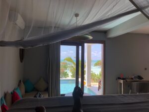 Best Safari and Zanzibar Package for Couples: Best Safari and Zanzibar Package for Couples:
