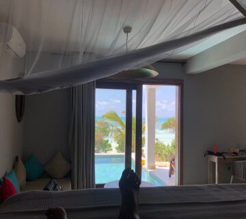Best Safari and Zanzibar Package for Couples: