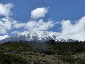 Kilimanjaro Guided Tours: The Best 2026 Guide to Reaching Kilimanjaro Guided Tours: The Best 2026 Guide to Reaching