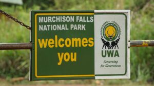 Murchison Falls Honeymoon Safari: The Ultimate Romantic Murchison Falls Honeymoon Safari: The Ultimate Romantic