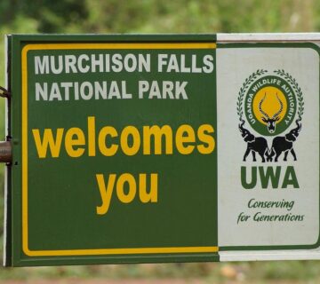 Murchison Falls Honeymoon Safari: The Ultimate Romantic