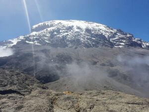 Kilimanjaro Guided Tours: The Best 2026 Guide to Reaching Kilimanjaro Guided Tours: The Best 2026 Guide to Reaching