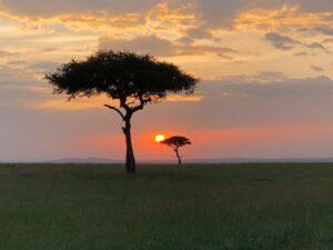 All-Inclusive Masai Mara Safari: The Exclusive Stress-Free