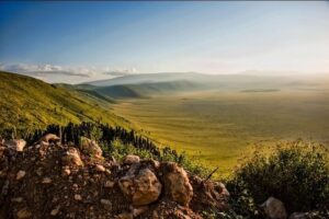 Ngorongoro Crater Safari from Arusha: The Best Guide Ngorongoro Crater Safari from Arusha: The Best Guide