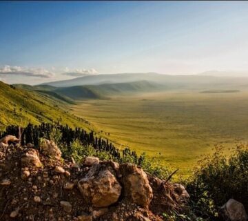 Ngorongoro Crater Safari for Families: The Ultimate