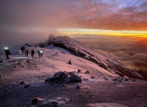 Kilimanjaro Guided Tours: The Best 2026 Guide to Reaching Kilimanjaro Guided Tours: The Best 2026 Guide to Reaching