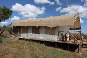 Masai Mara Honeymoon Safari: The Top Rated Romantic