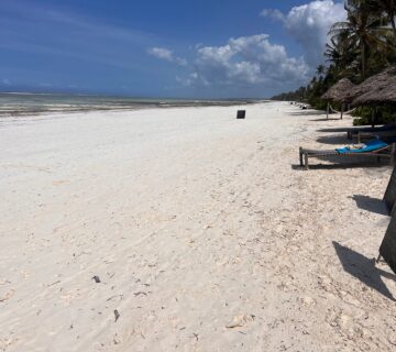 Safari and Beach Package Kenya: The Ultimate Bush and Beach