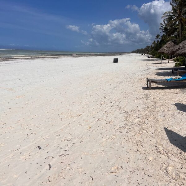 Safari and Beach Package Kenya: The Ultimate Bush and Beach