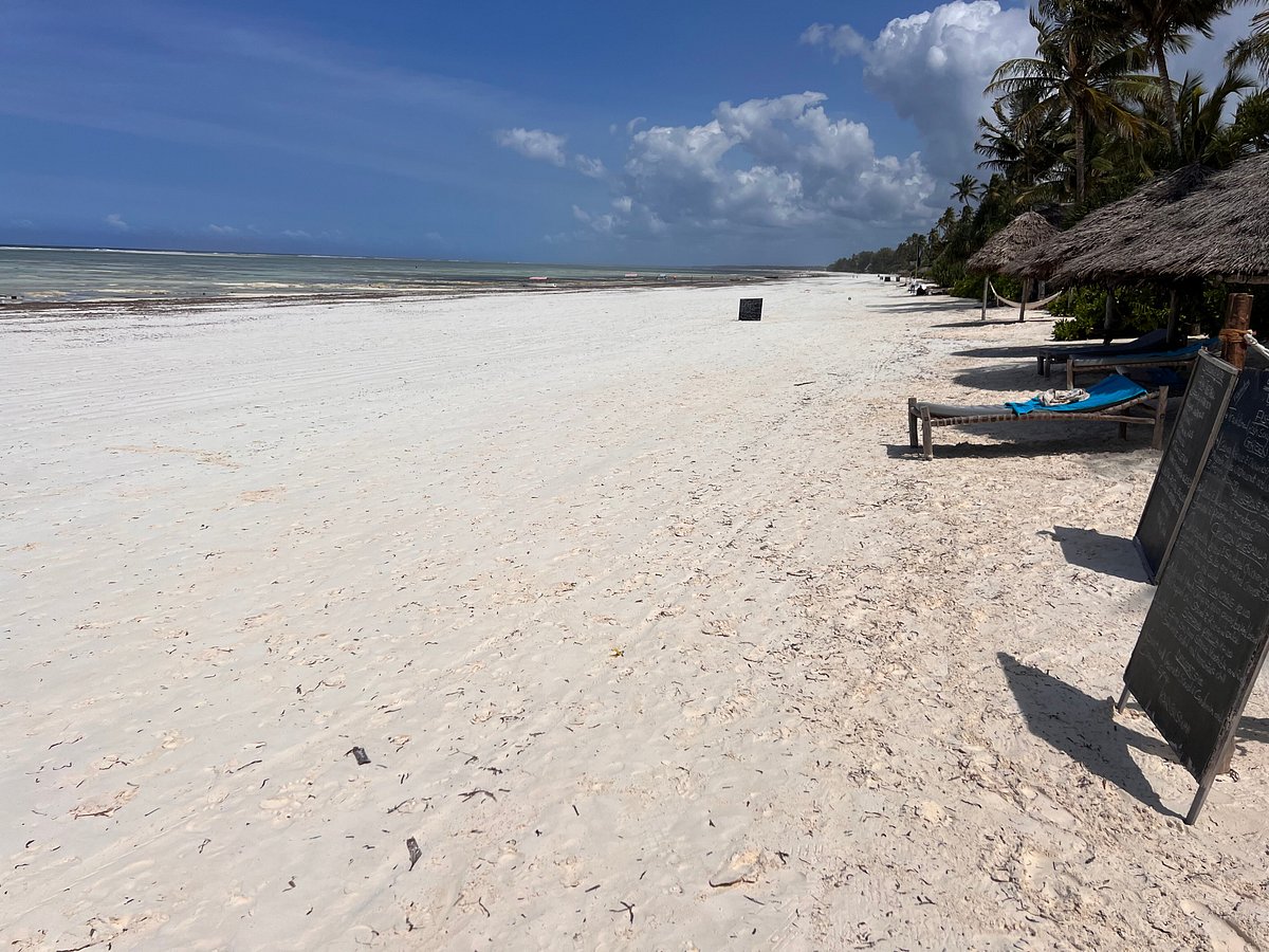 Safari and Beach Package Kenya: The Ultimate Bush and Beach